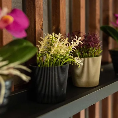 Gpx Clr-Junior Twinsuitea4 *