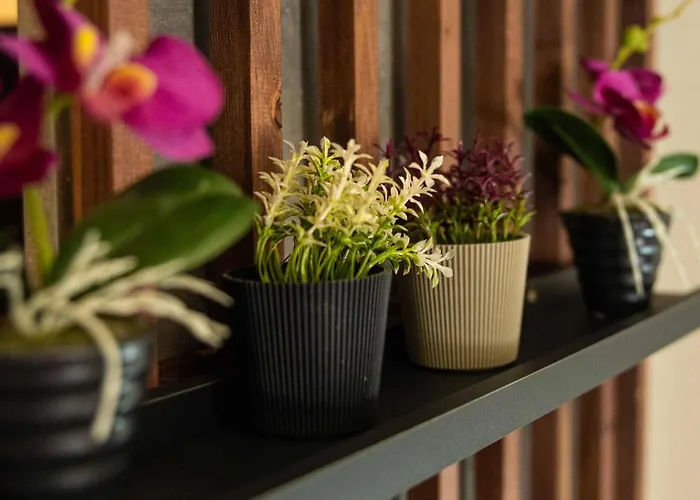 Gpx Clr - Junior Apartment A4 *